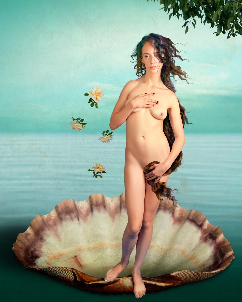 The Birth of Venus (Sandro Botticelli)